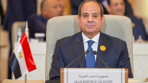 برلماني: الرئيس السيسي أعطى انطباعا إيجابيا لتعزيز التعاون الاقتصادي بين الدول الإفريقية