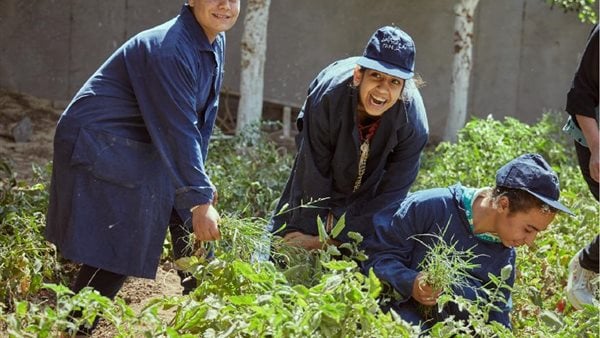 فصول مدارس حقلية بالمنيا بالشراكة بين صندوق «عطاء» لدعم ذوي الإعاقة وجمعية رؤية حياة