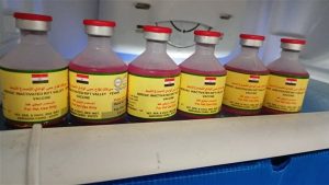 بيطري الجيزة تطلق حملة للتحصين ضد مرض الحمى القلاعية والوادي المتصدع.. غدا