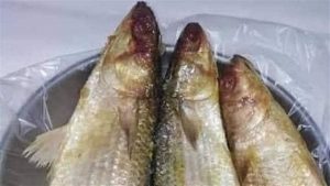 طريقة عمل الفسيخ فى المنزل