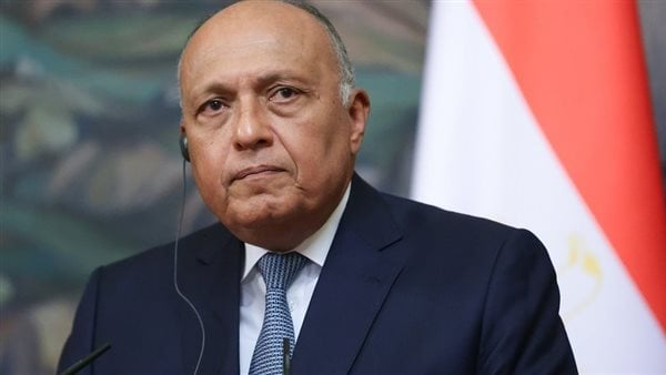 شكري: دول كبرى تعطي غطاءً للاعتداءات الإسرائيلية الحالية