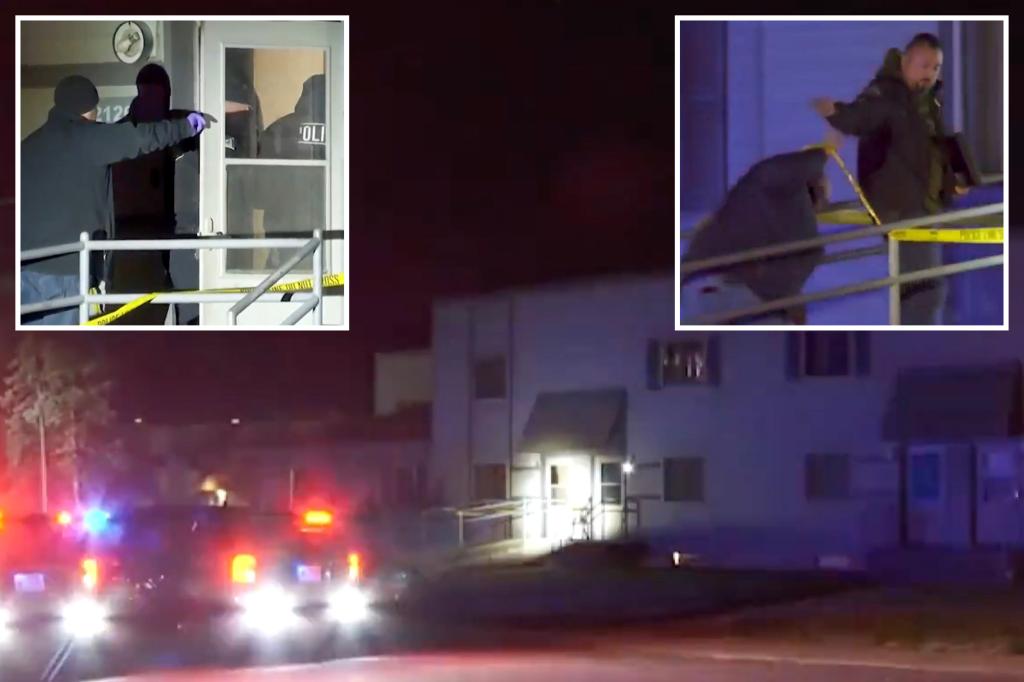 طفل إنديانا يبلغ من العمر 3 سنوات يقتل شقيقه البالغ من العمر عامين بمسدس عثر عليه في حقيبة والدته