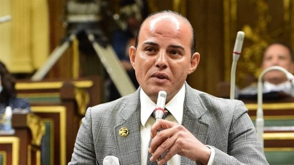 نائب الشيوخ: مصر تعي خطورة تفشي المخطط الإسرائيلي بتهجير أهالي فلسطين