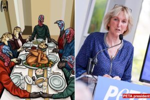 تم تحميص بيتا بعد تغريدة صورة للديوك الرومية وهي تجلس حول اللحوم البشرية في عيد الشكر