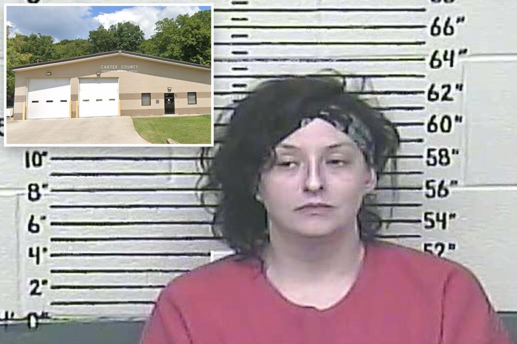 رجال الطوارئ المسلحون يحبطون امرأة تحمل فأسًا وجرحت وجه رجل قبل أن تحطم باب المحطة: الشرطة