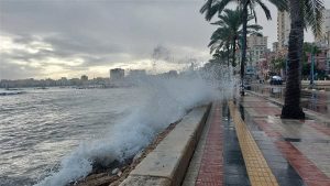 رغم الأمطار.. تداول 1484 حاوية خلال 24 ساعة بميناء الإسكندرية