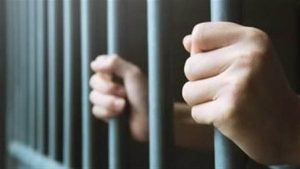 حبس المتهم بحيازة 3 كراتين ترامادول بالقليوبية