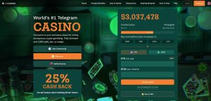 يقول محللو العملات المشفرة إن عملة GameFi TG.Casino ($TGC) يمكن أن تنفجر مثل Rollbit بعد أن تجمع 3 ملايين دولار، ولم يتبق سوى 2 مليون دولار