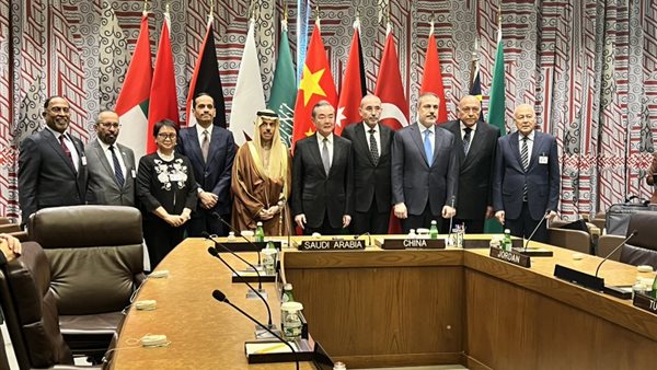 وزير الخارجية: مصر تهدف إلى وقف إطلاق نار دائم في قطاع غزة
