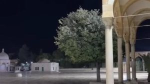 مستوطن إسرائيلي مسلح بسكين يحاول اقتحام المسجد الأقصى