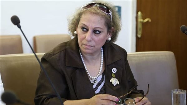 برلمانية: إطلاق وزارة التضامن الاجتماعى حملة تصحح المفاهيم الخاطئة حول العنف مبادرة إيجابية