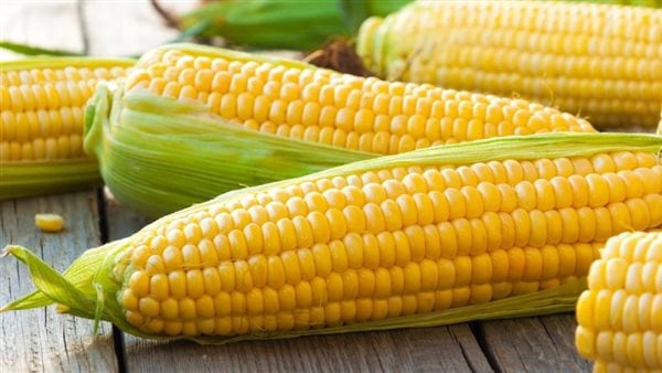 ماذا يحدث لجسمك عند تناول الذرة الصفراء