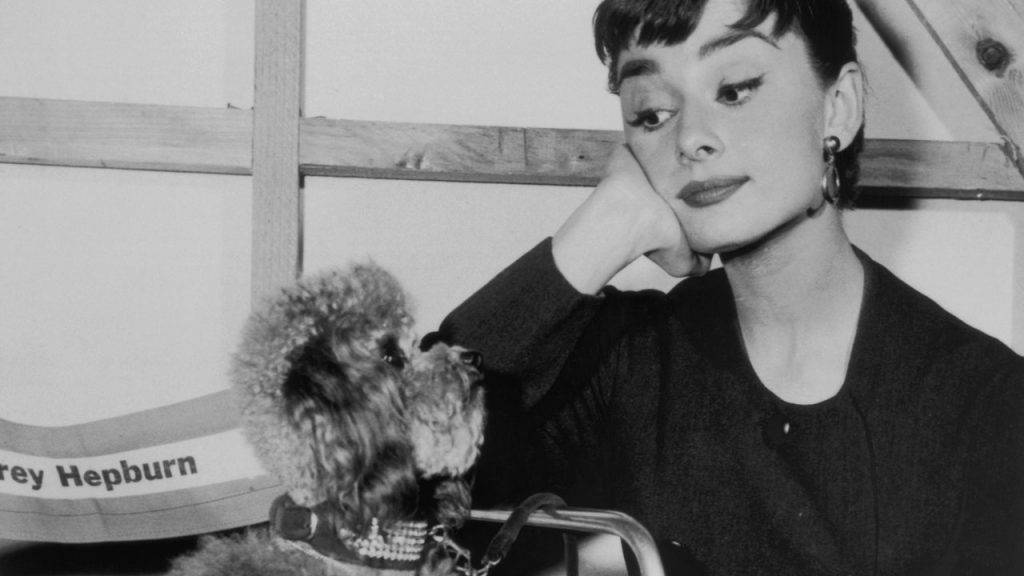 ما هو كحل جرو؟ كل ما تحتاج لمعرفته حول اتجاه الجمال الكوري