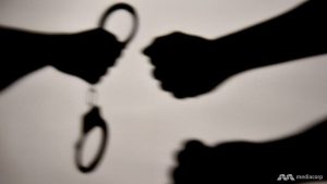 القبض على مضيفة طيران في الخطوط الجوية السنغافورية في اليابان بتهمة سرقة متجر وعض رجل