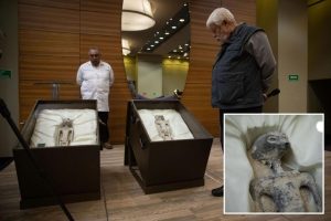 يزعم المحللون أن الحمض النووي المأخوذ من الجثث الغريبة “غير البشرية” هو من “أنواع غير معروفة”.