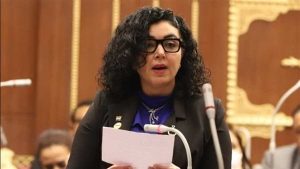 نائبة بالشيوخ: المشاركة الإيجابية في الانتخابات الرئاسية واجب وطني ومسئولية قومية
