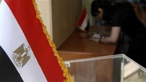 من حق كل مرشح رئاسى تعيين مندوب في لجان الانتخابات بالقانون