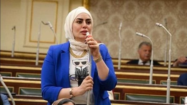نائبة: لقاء السيسي ونائبة بايدن يؤكد حرصه على دعم القضية الفلسطينية بجميع المحافل