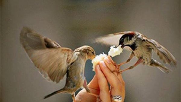 دعاء الفجر المستجاب للرزق وقضاء الحاجة .. أدركه بـ 7 كلمات
