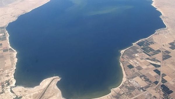 الذهب الأبيض.. كنز عالمي يسبح أسفل بحيرة في أمريكا