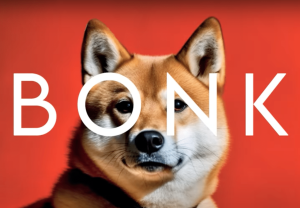 يصل رمز BONK الخاص بـ Solana إلى مستوى قياسي وسط ارتفاع العملة المشفرة