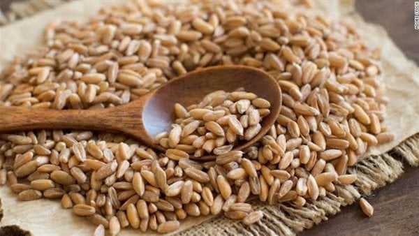 لإنقاذ المناخ.. الأمم المتحدة تدعو الأغنياء إلى تناول بدائل للحوم