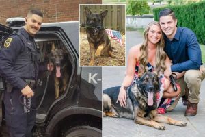 مدينة أوهايو تنفي عرض الشرطي اليائس بقيمة 10 آلاف دولار للاحتفاظ بشريك K-9 المحبوب: “كان معنا في كل شيء”
