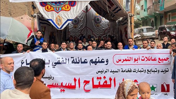 بالأغاني الحماسية .. توافد الناخبين على اللجان بمركز النمرس | فيديو وصور