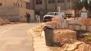 قوات الاحتلال الإسرائيلي تعتقل حمارًا في غزة .. فيديو