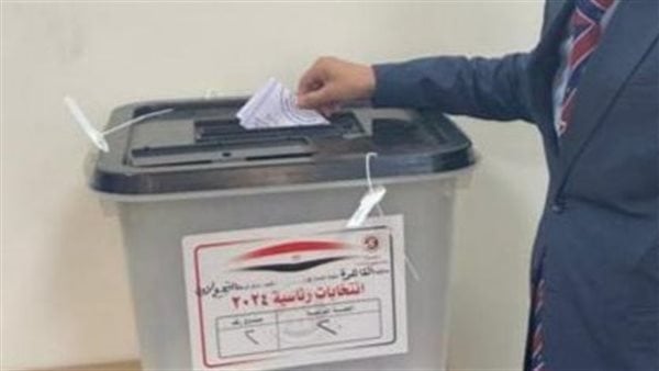 رئيس “هيئة الاستعلامات”: عمل المراسلين الأجانب في الانتخابات المصرية يسير دون معوقات
