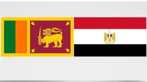 العرابي: إصدار طابع تذكاري لمرور 66 عامًا على العلاقات المصرية السريلانكية يُعد توثيقاً حضارياً وثقافياً