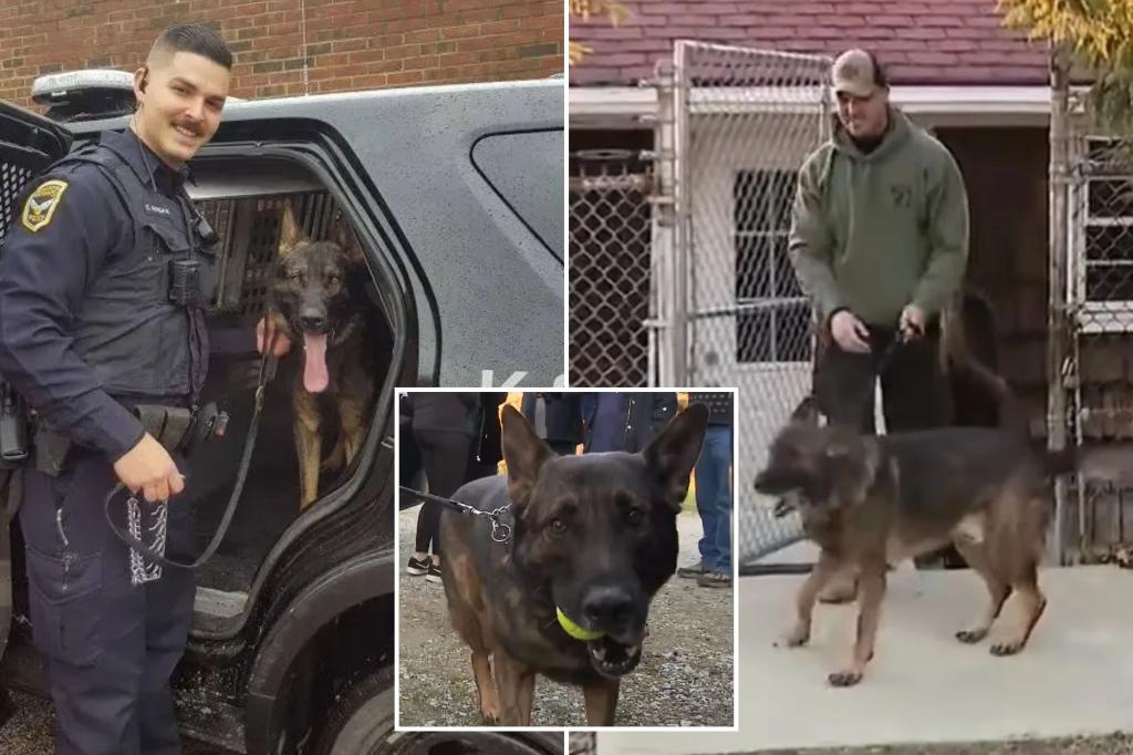 اجتمع شرطي أوهايو مع شريك K-9 بعد أن قبلت المدينة صفقة بقيمة 16 ألف دولار وسط معركة الملكية: “سعيد بعودة عائلتنا”