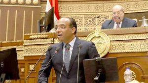نائب: الدولة تبذل قصارى جهدها لتقديم كافة المساعدات للشعب الفلسطيني في غزة
