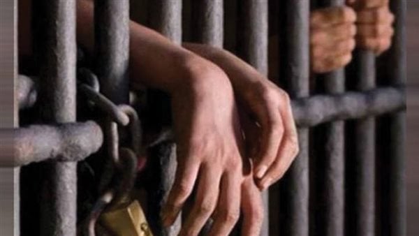 حيثيات المحكمة في الحكم على ديلر الزاوية الحمراء