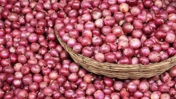 سقوط جديد لسعر كيلو البصل بالأسواق .. وهؤلاء أبرياء من الأزمة الحالية