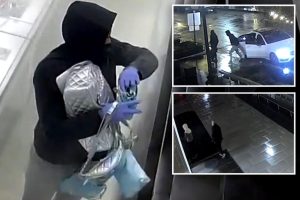 لصوص يستخدمون طفايات الحريق يسرقون متجر شانيل بقيمة 250 ألف دولار في العاصمة: الشرطة