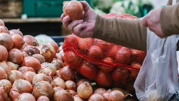 الكيلو بـ 15 جنيها .. الفرق بين البصل الجديد والقديم