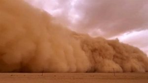 الشتاء يجتاح بقوة.. الأرصاد تُحذر من طقس الساعات المقبلة: نشاط بالرياح وبرودة شديدة