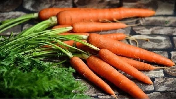عيادة طبيعية في البيت | فوائد مذهلة لـ الجزر لمرضى السكر