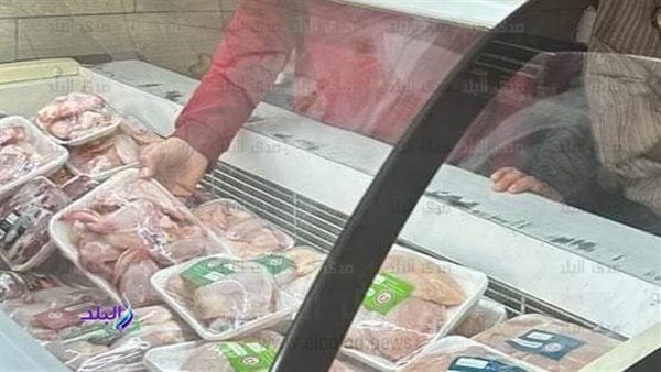 مصادرة منتجات منتهية الصلاحية خلال حملات مكبرة لتموين بورسعيد فى بورفؤاد|صور