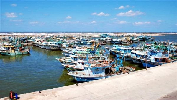 محافظ كفرالشيخ يرفع درجة الاستعداد لمواجهة الأمطار وإغلاق ميناء الصيد البحري ببرج البرلس
