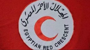 790 شابا متطوعا من شمال سيناء يواصلون العمل على مدار الساعة لإغاثة أهالي غزة