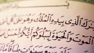 هل قراءة سورة الملك قبل النوم بدعة؟ رد حاسم من دار الإفتاء