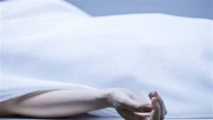 سائق يقتل جاره لركنه سيارته بأرضه في الخانكة