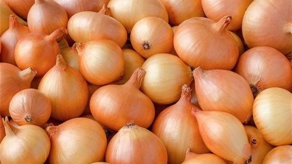 نزول الأسعار.. علامات تكشف البصل الفاسد من الجيد
