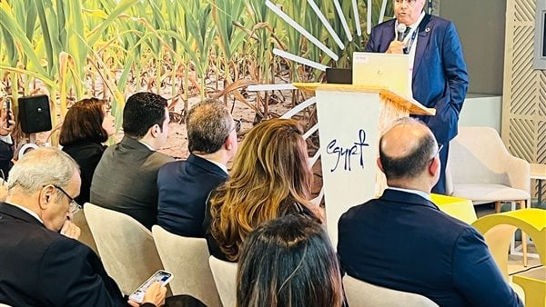 محيي الدين: تعزيز العمل المناخي الإقليمي والمحلي يساهم في سد فجوة التمويل