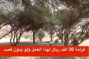 السعودية: 20 ألف ريال غرامة لمن يمارس هذا العمل ولو دون قصد