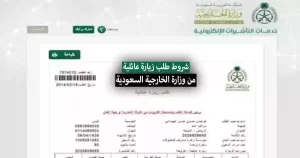 كيف اعرف موافقة وزارة الخارجية على طلب الزيارة؟