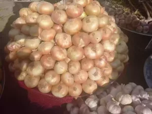 عمالة مخالفة تتسبب في زيادة سعر البصل!! وزارة التجارة السعودية تعلن عن حل الأزمة
