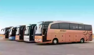 وزارة النقل السعودية: سعر تذاكر النقل الجماعي الجديدة في السعودية من المدينة إلى مكة 2024